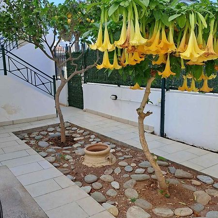 Dimitris Place Near Athens Airport Коропион Экстерьер фото