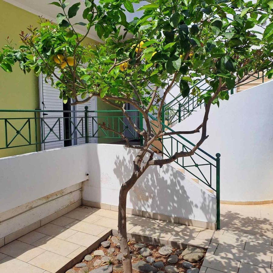 Dimitris Place Near Athens Airport Коропион Экстерьер фото
