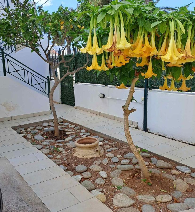 Dimitris Place Near Athens Airport Коропион Экстерьер фото