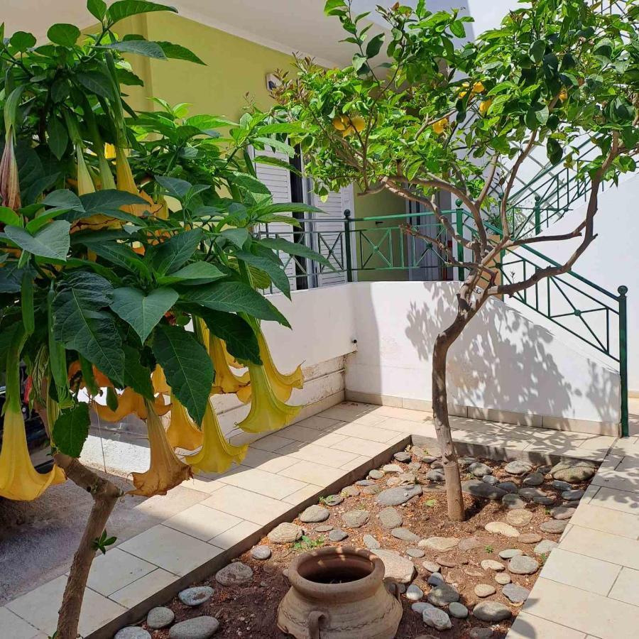 Dimitris Place Near Athens Airport Коропион Экстерьер фото